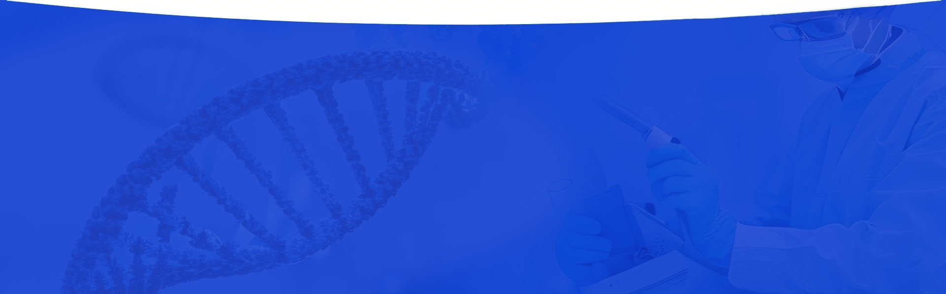 英特力生產車間